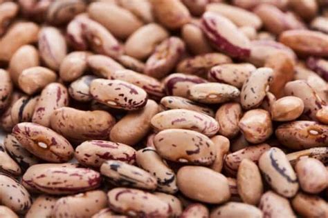 what beans are similar to pinto beans